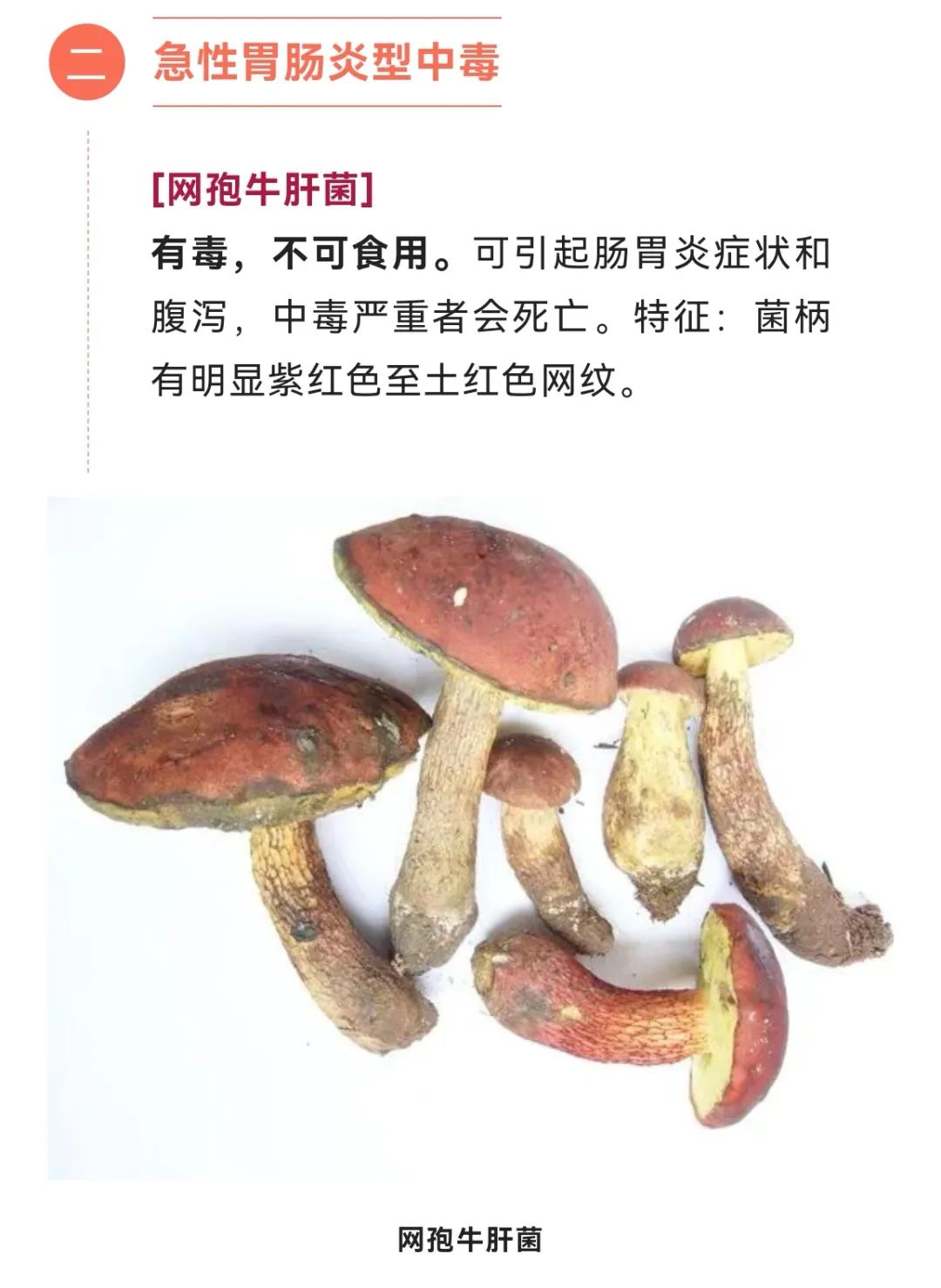 美丽云南微科普