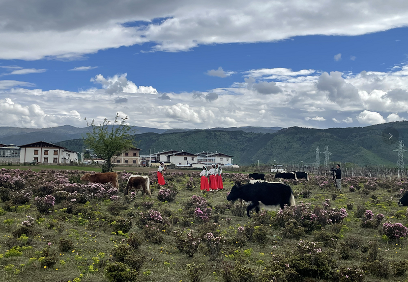 云南省人民政府网