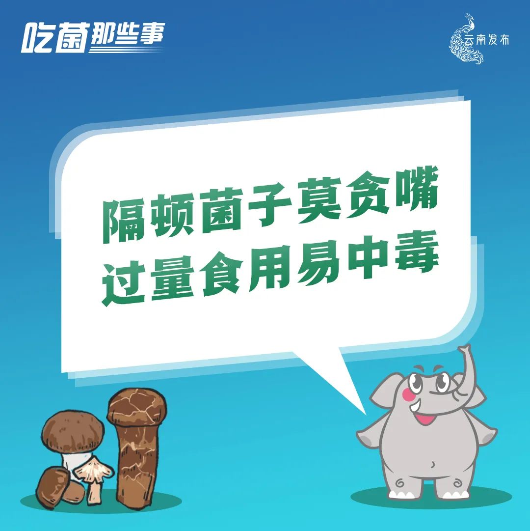 云南法制报