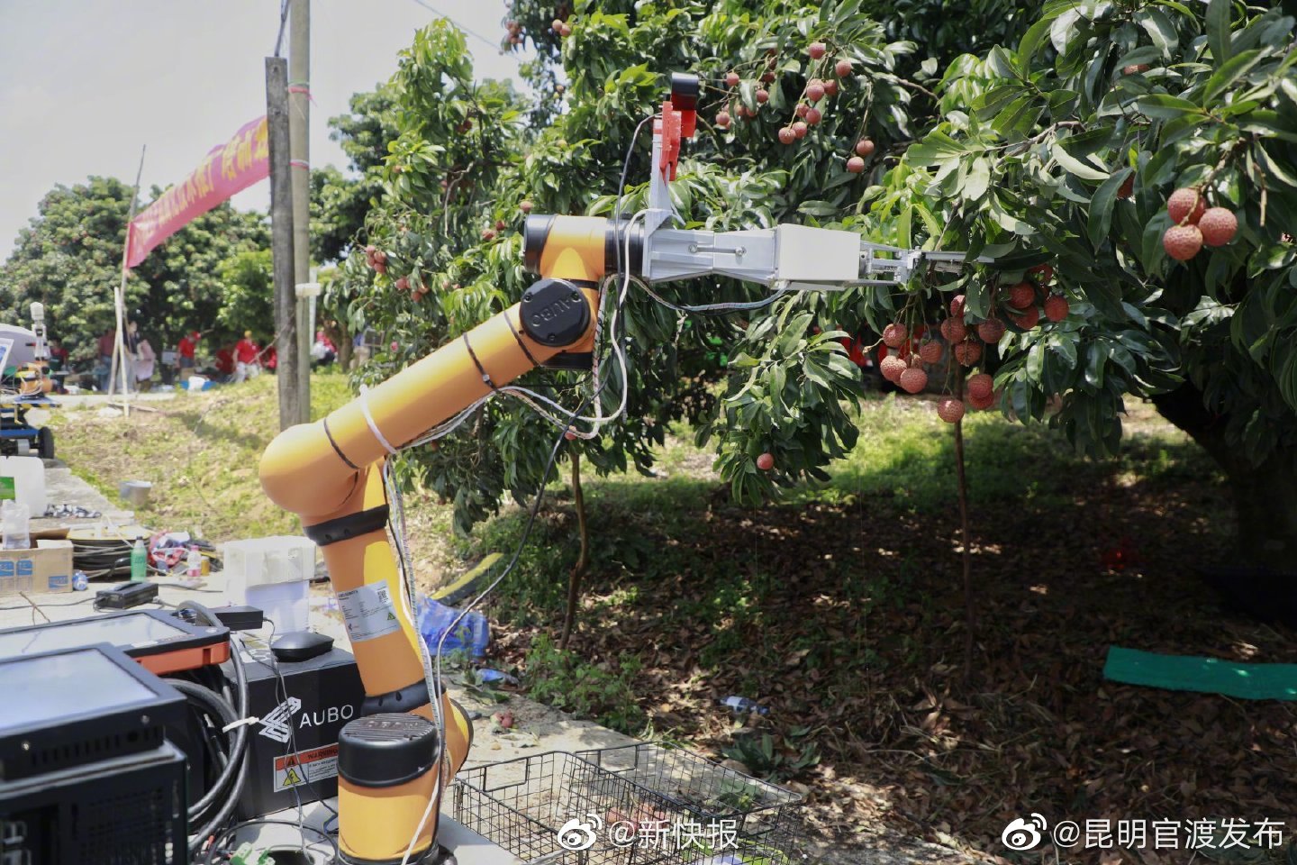 “昆明官渡发布”微博