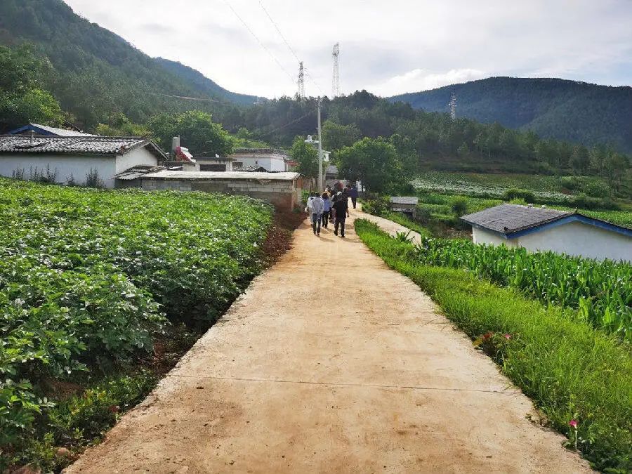 丽江日报