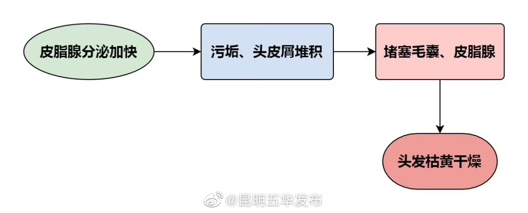 “昆明五华发布”微博