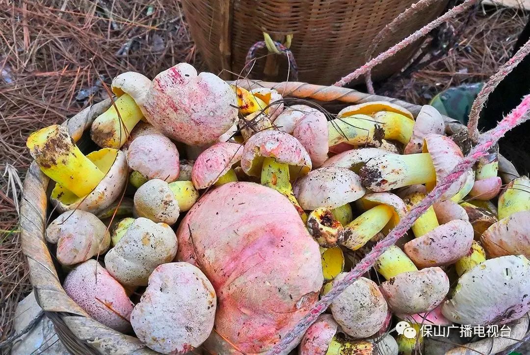 保山广播电视台