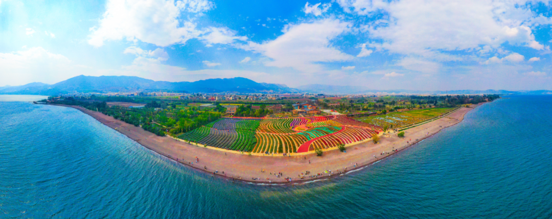 云南省文化和旅游厅