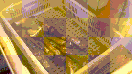 昆明信息港/cnkmxxg