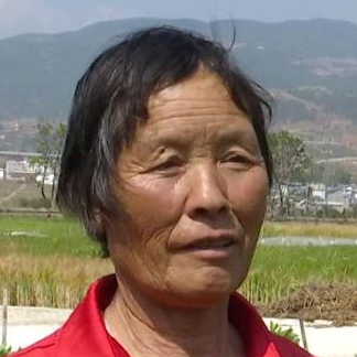 大理电视台