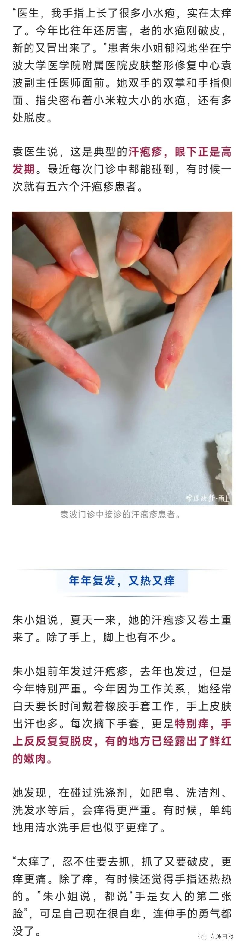 大理日报