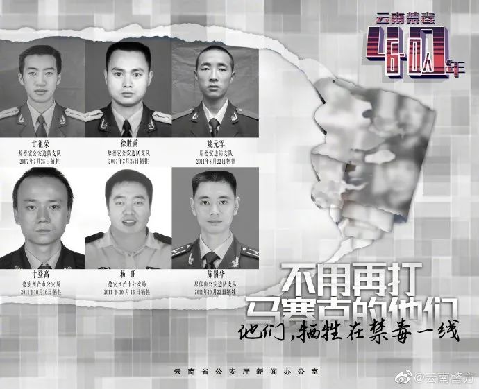 昆明信息港/cnkmxxg