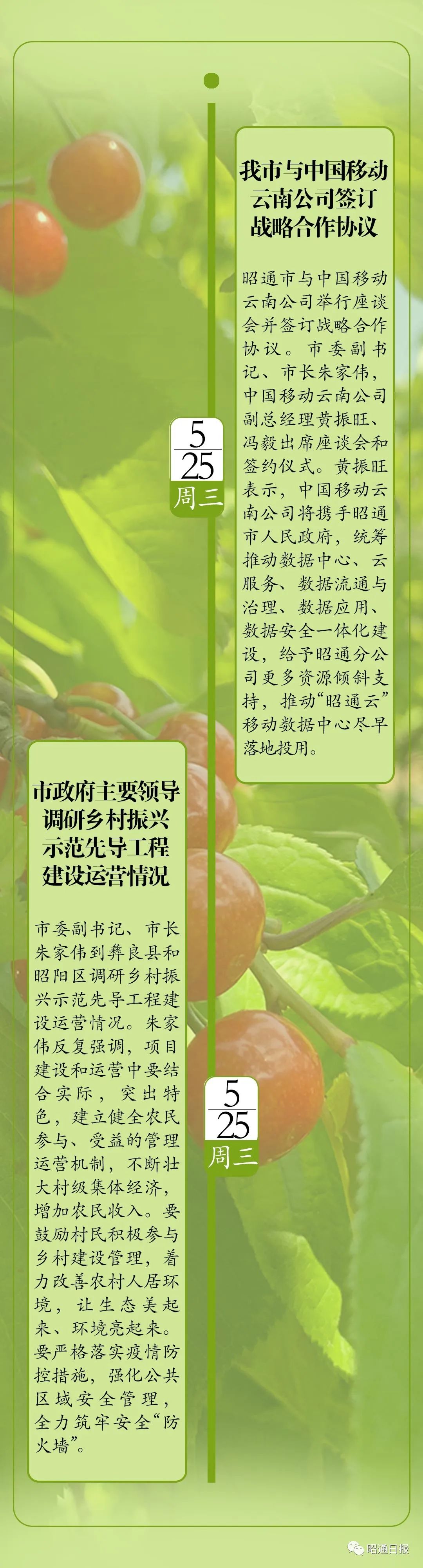 昭通日报