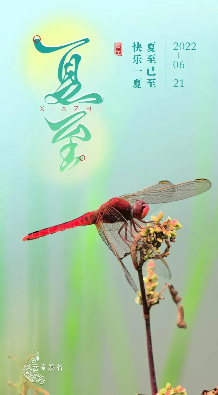 昆明国家高新区发布