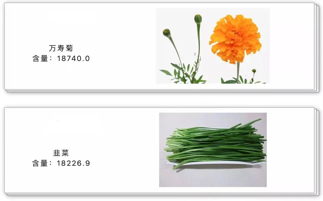 云南省中医医院