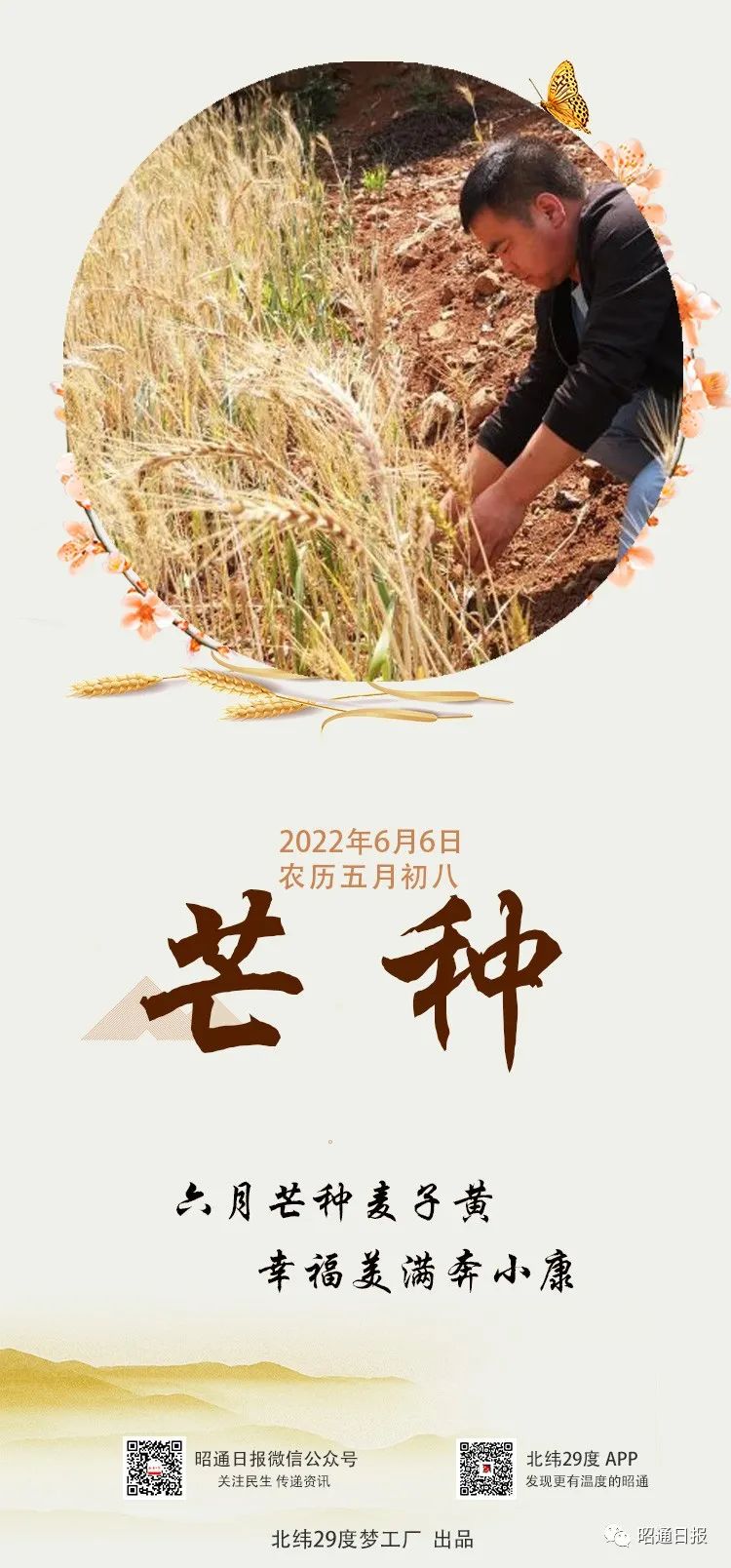 昭通日报