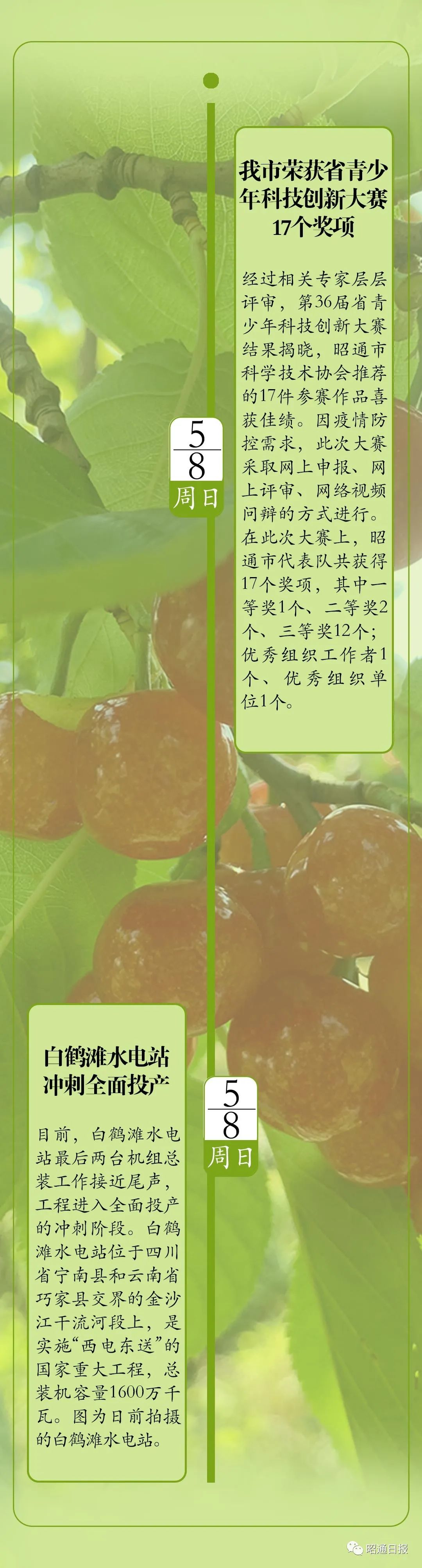 昭通日报
