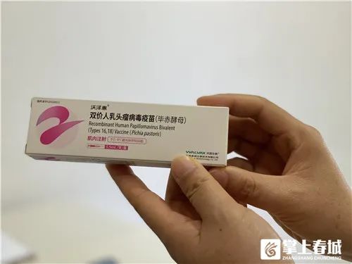 掌上春城