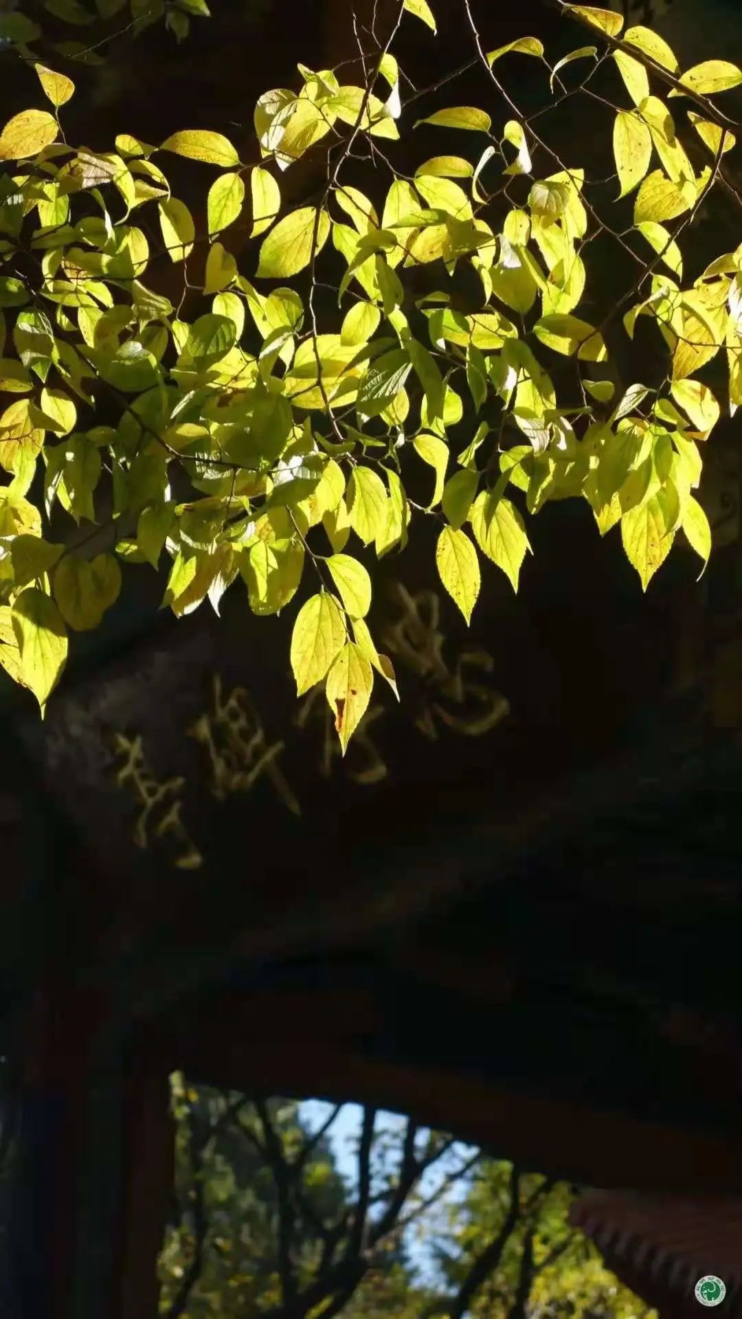 昆明动物园
