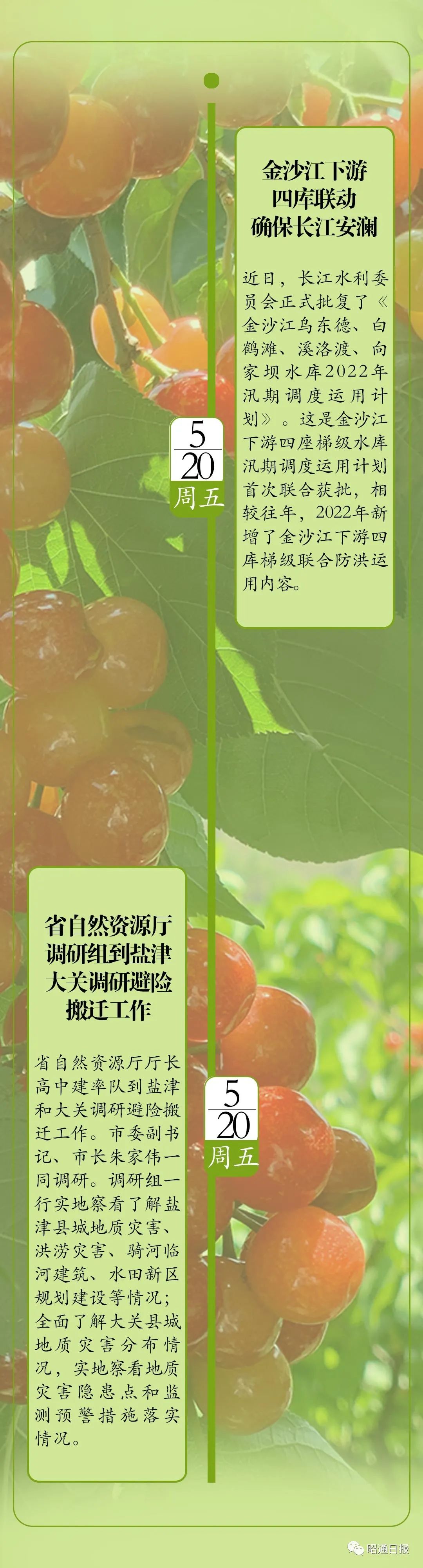 昭通日报