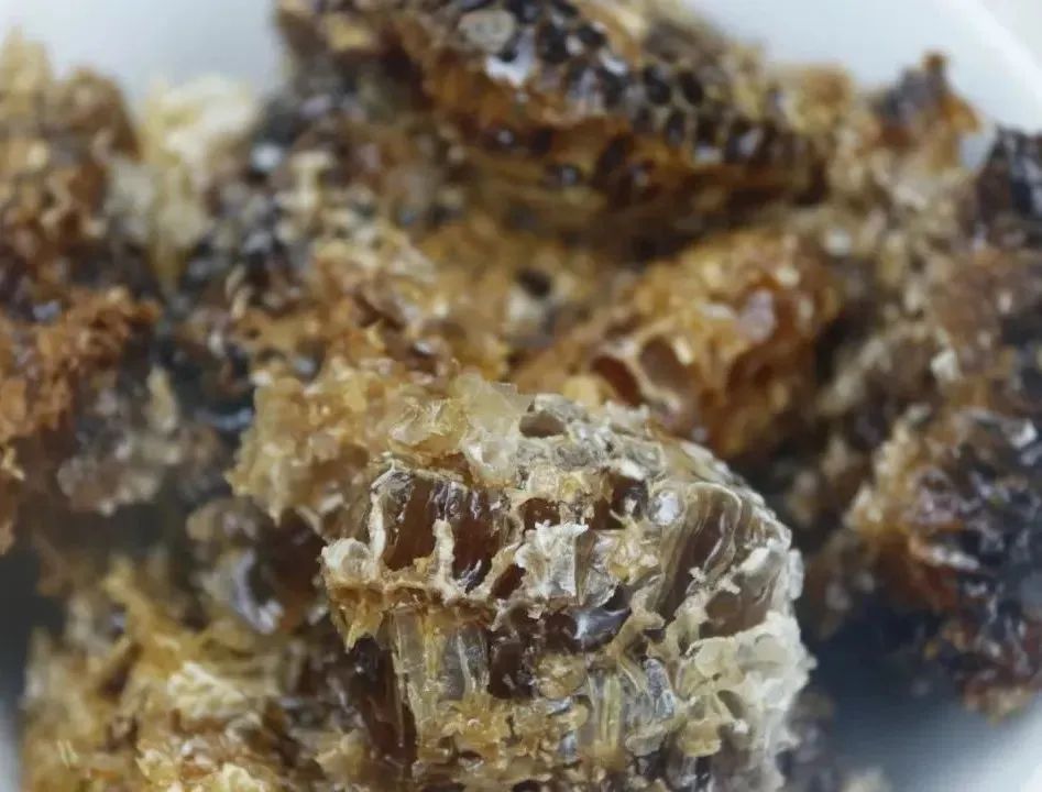 魅力禄劝