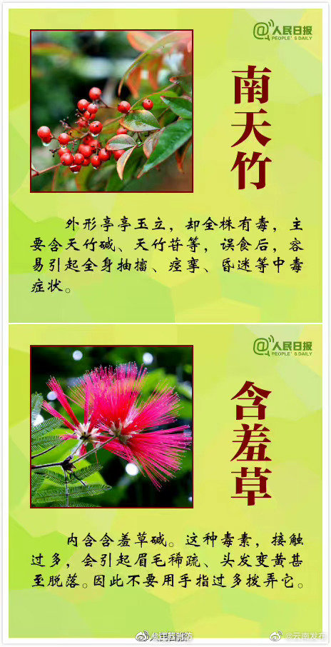 “云南发布”微博