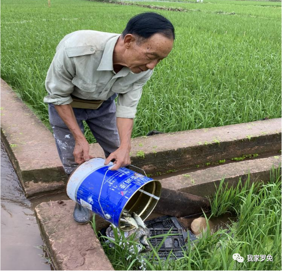 爱上富民