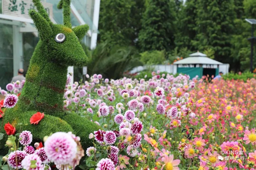 昆明滇池国家旅游度假区管理委员会(微信)