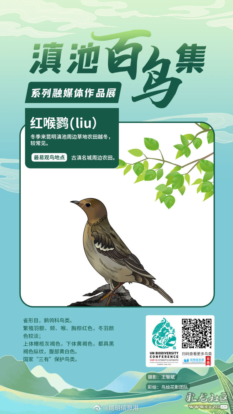 昆明信息港