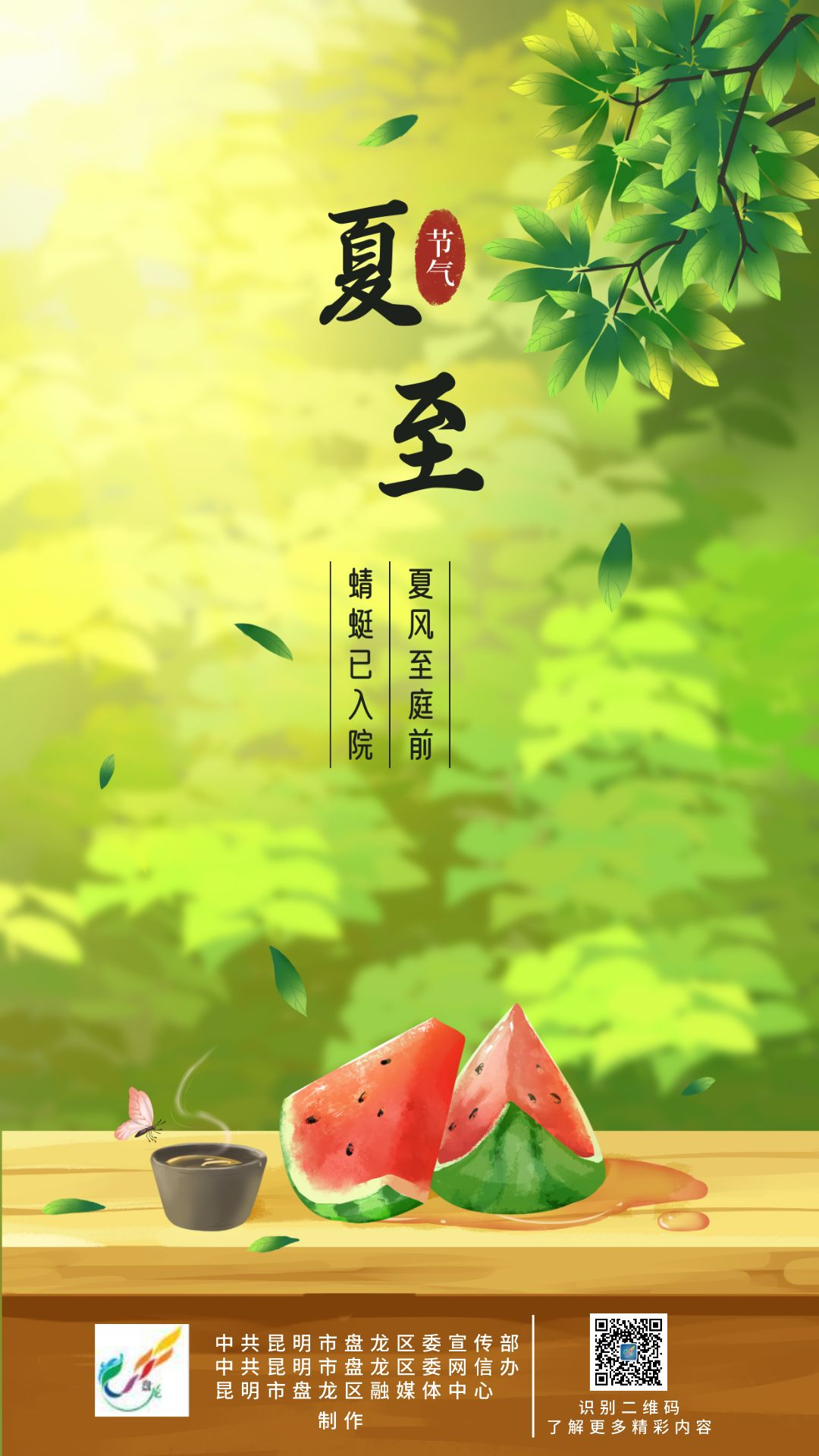 微观盘龙