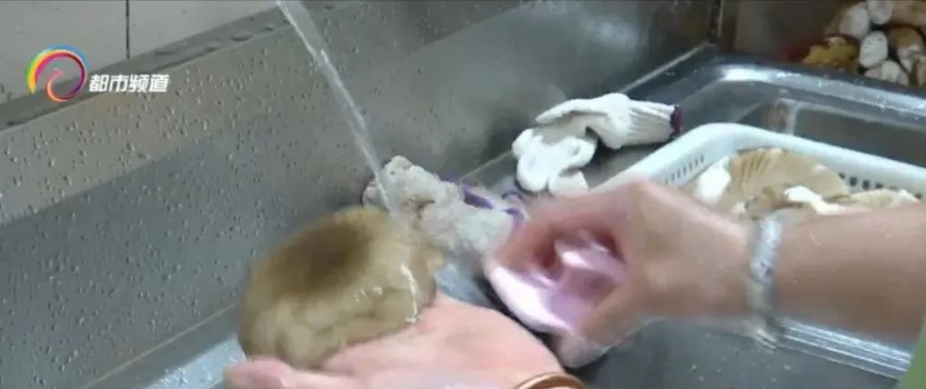 美丽云南微科普