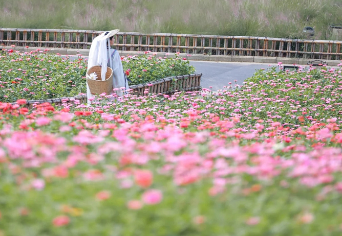 昆明滇池国家旅游度假区管理委员会(微信)