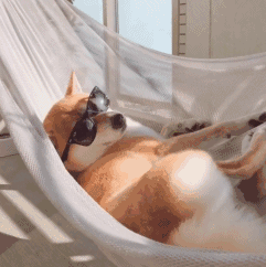 阳光并没有那么可怕，适度晒太阳可防痴呆