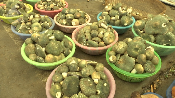 昆明信息港/cnkmxxg