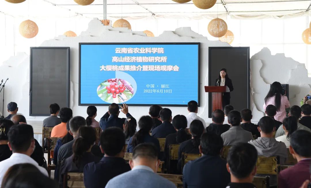 丽江日报