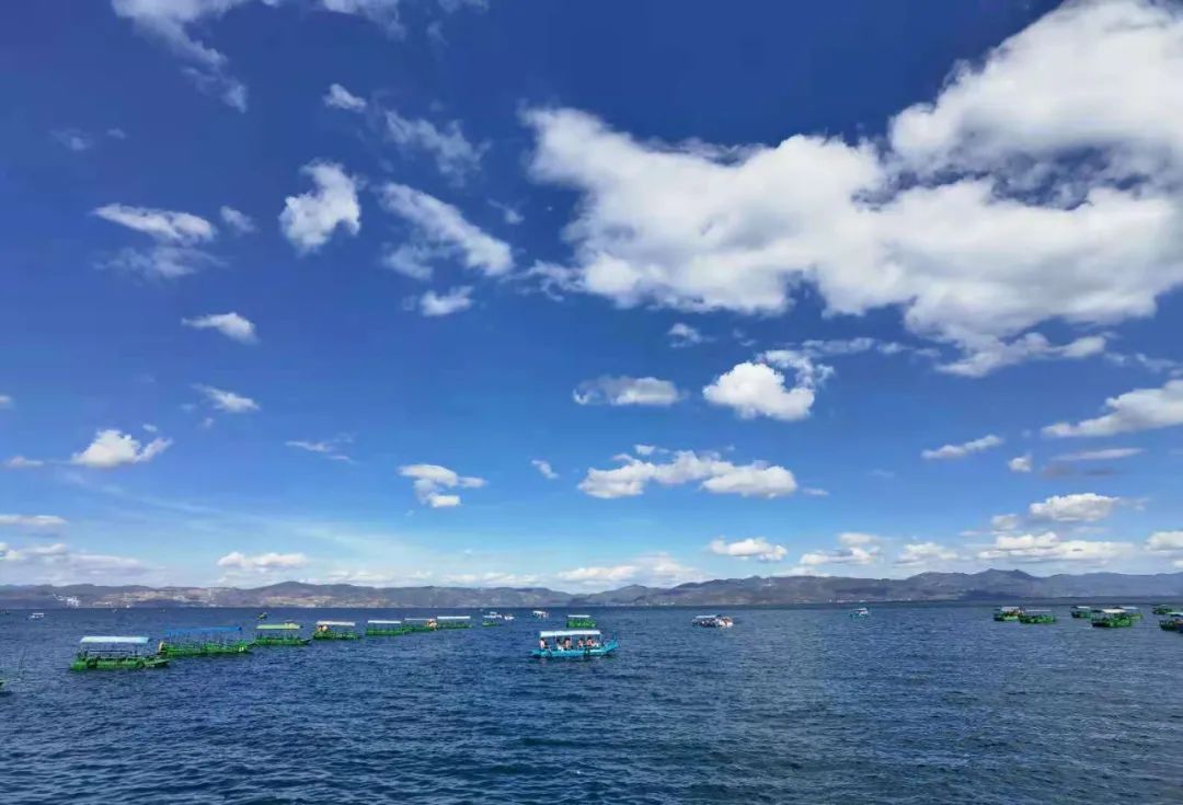 昆明国家高新区发布