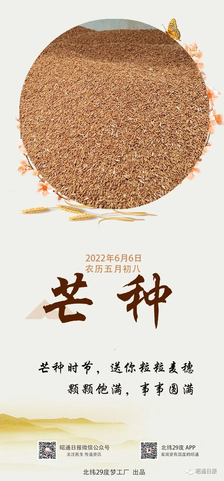 昭通日报