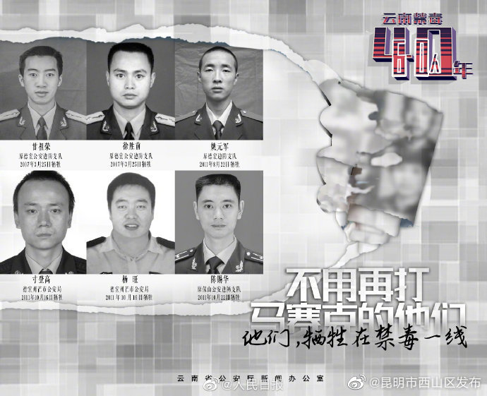 昆明市西山区发布