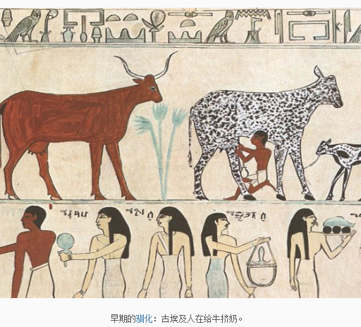 昆明动物园