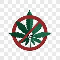 云南省人民检察院