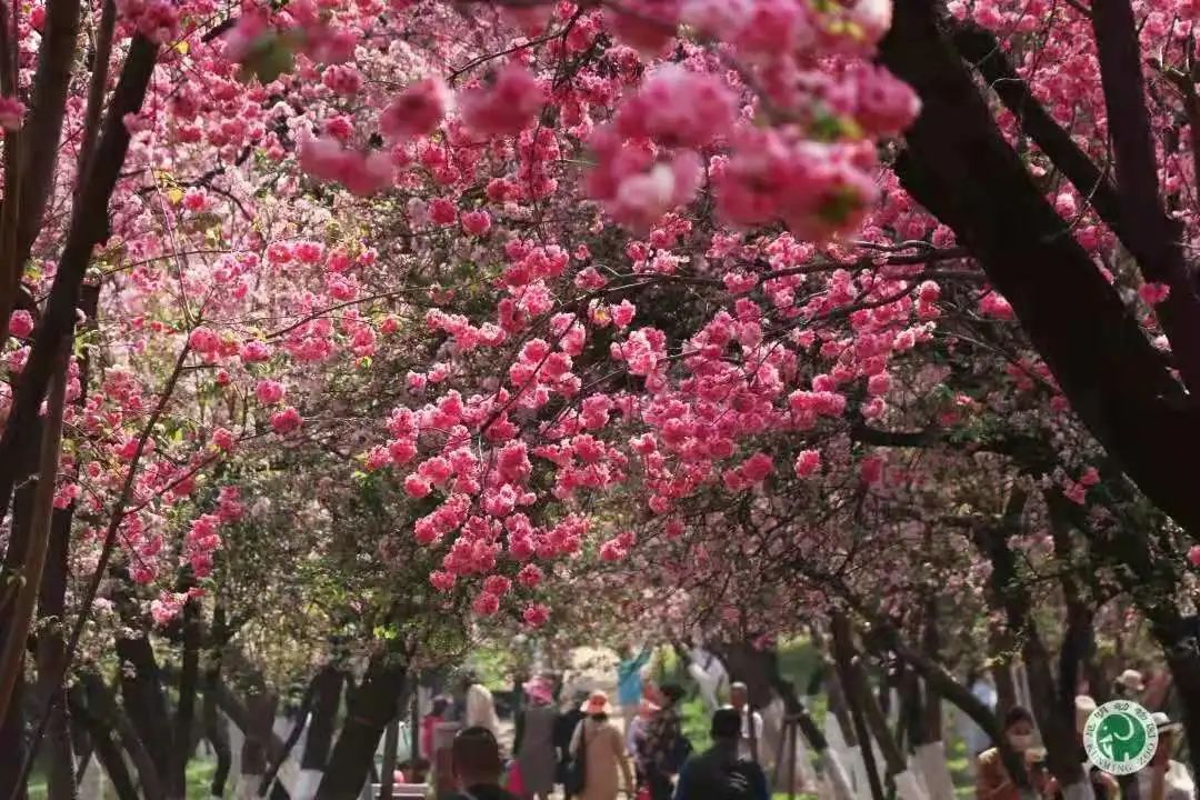 昆明动物园