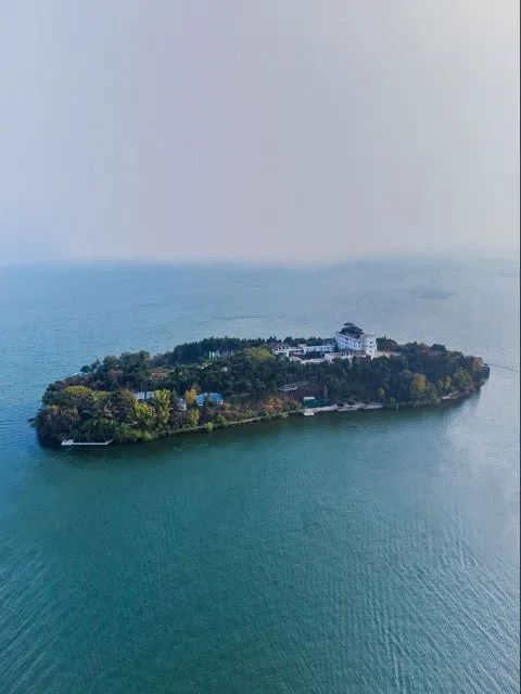 大理日报