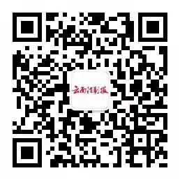 云南法制报