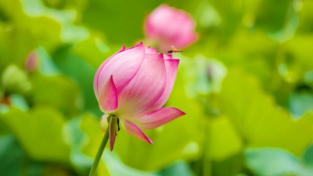 昆明信息港/cnkmxxg