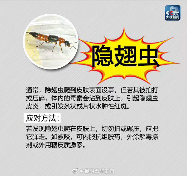 夏季防毒虫叮咬手册