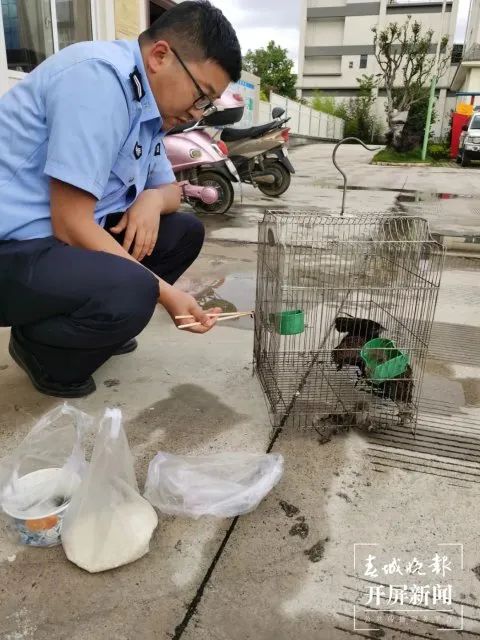 保山新闻网