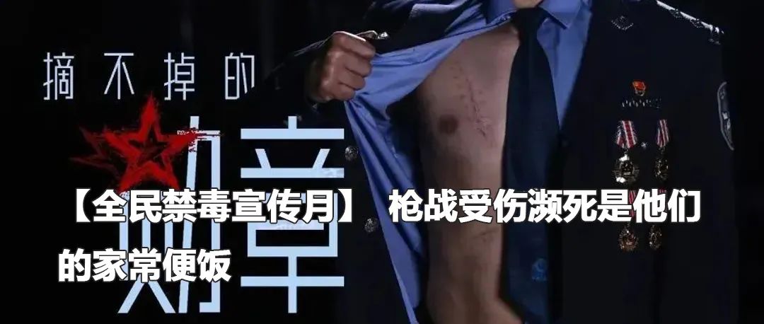 云南政法