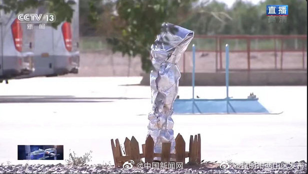 树坚强旁边长了树小强