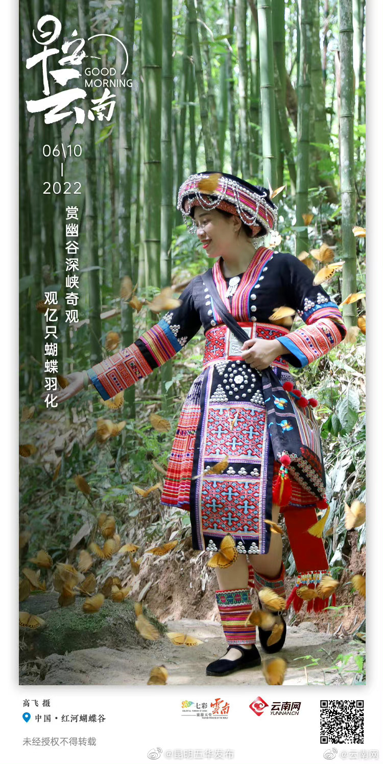 中国•红河蝴蝶谷：蹁跹彩蝶舞幽谷 似梦似幻美如画