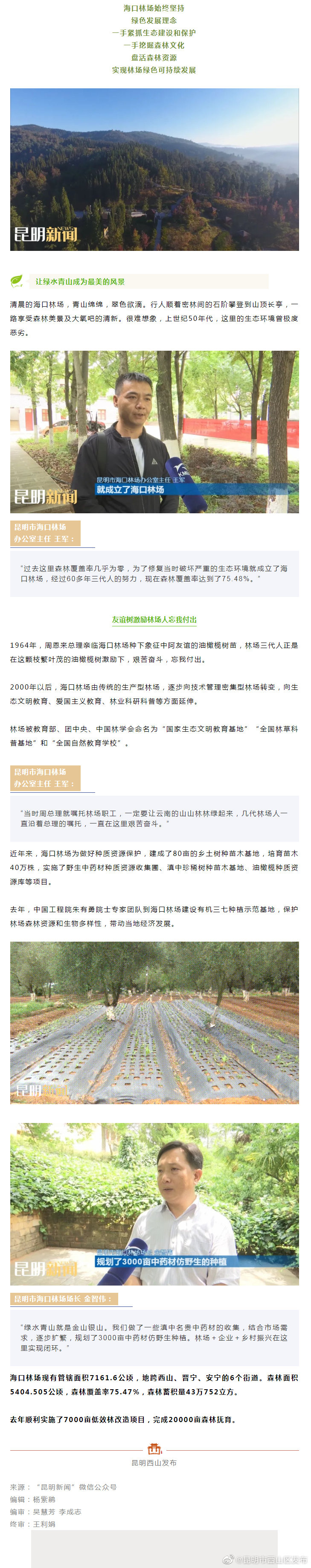 海口林场：盘活森林资源，实现绿色可持续发展