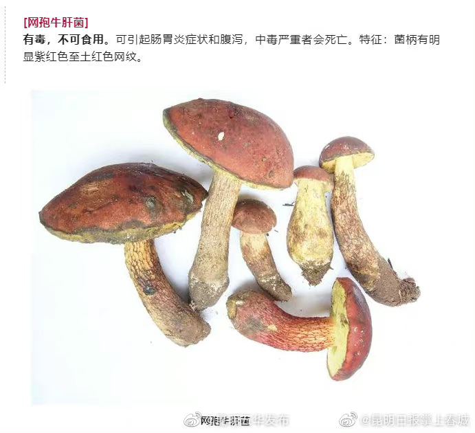 “昆明五华发布”微博