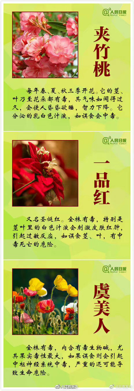 “云南发布”微博