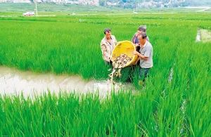 昆明市农业农村局