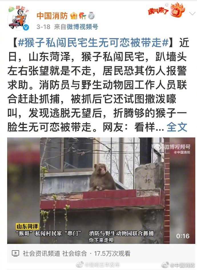 “昆明五华发布”微博